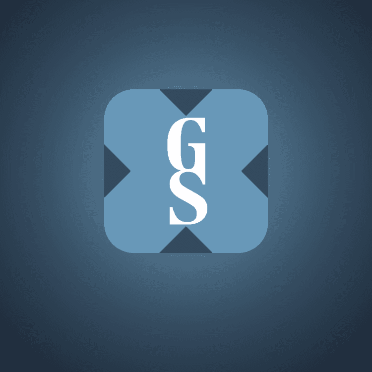 Goldman Sachs xStock cover